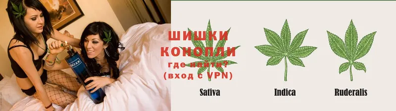 Канабис White Widow  Дмитриев 